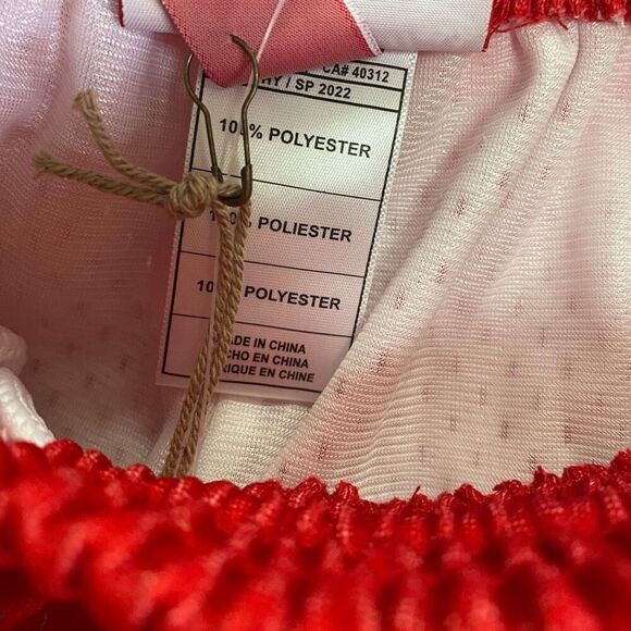 Mitchell & Ness Grizzlies 1996 NBA Fadeaway Swingman Shorts Mens size Small New - Picture 9 of 10